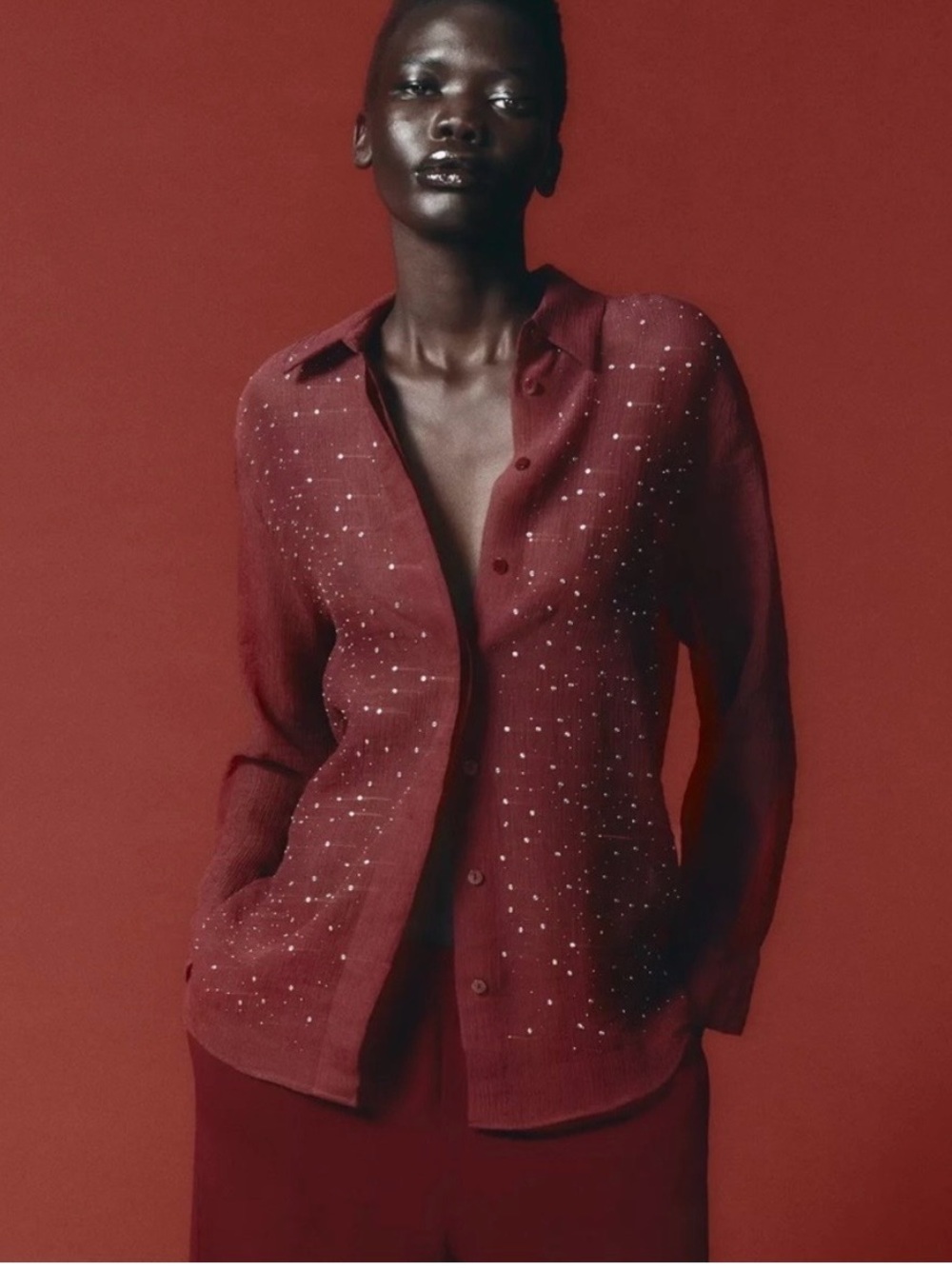 Zara front beaded burgundy shirt semi sheer new with tags